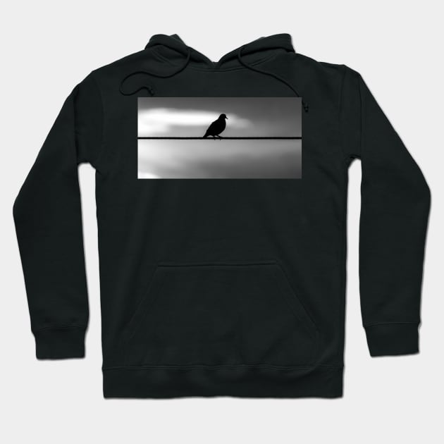 pigeon Hoodie by rickylabellevie